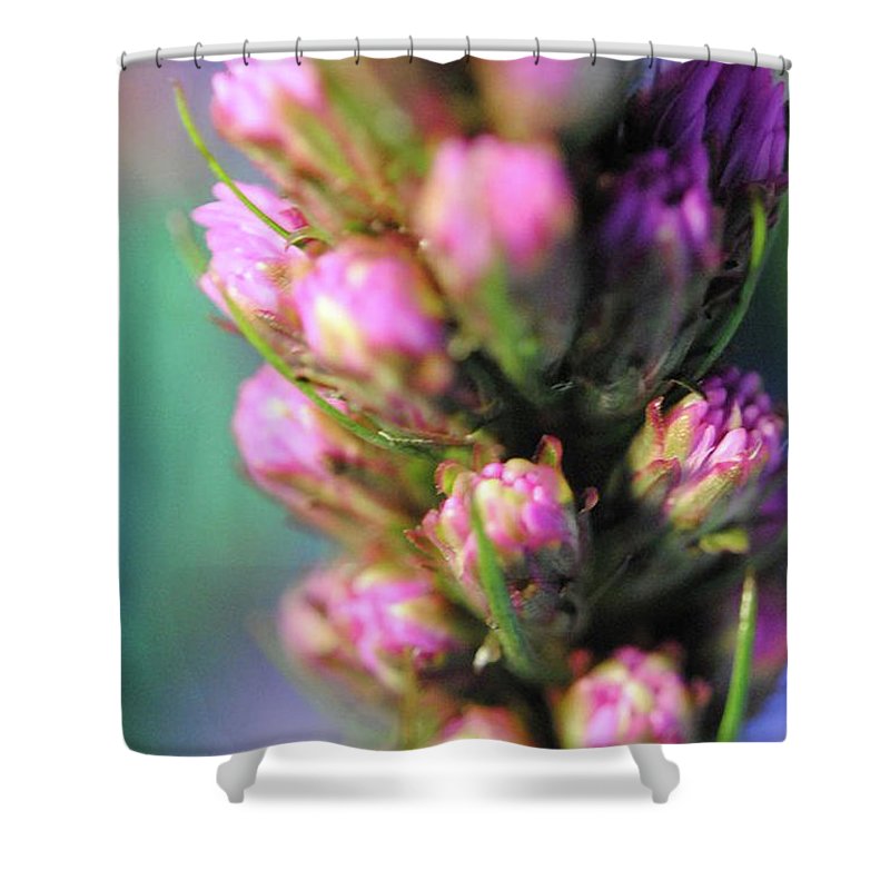 Purple Liatris - Shower Curtain