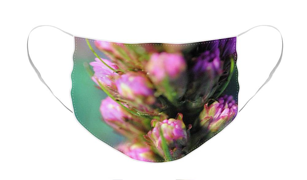 Purple Liatris - Face Mask