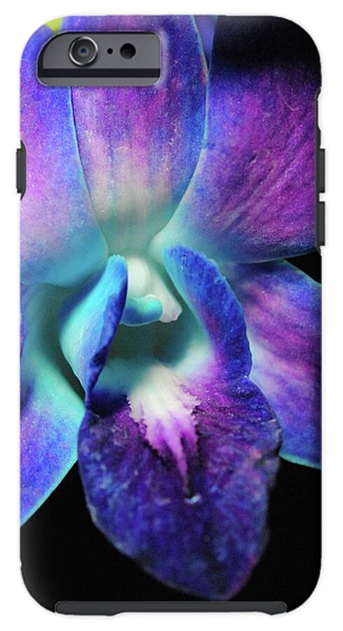 Purple Orchid Close up on Black - Phone Case