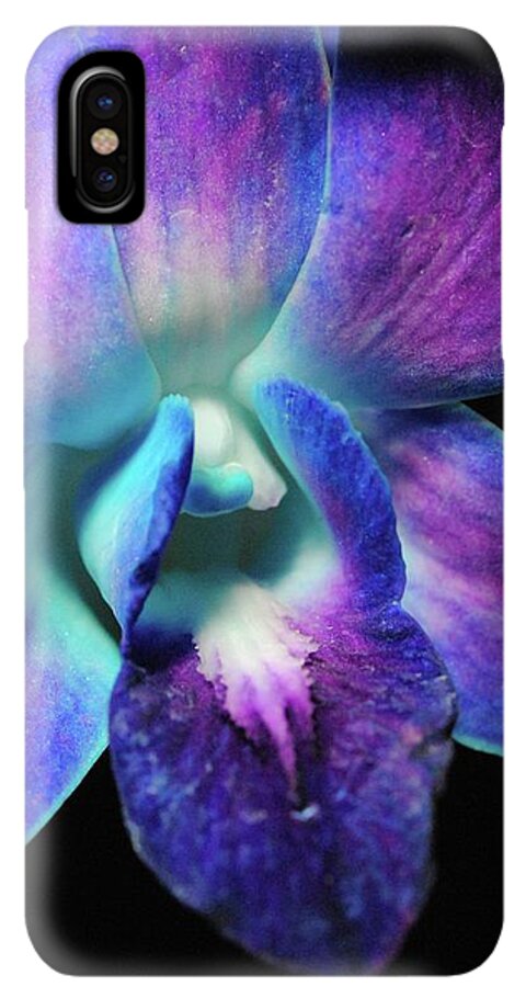 Purple Orchid Close up on Black - Phone Case