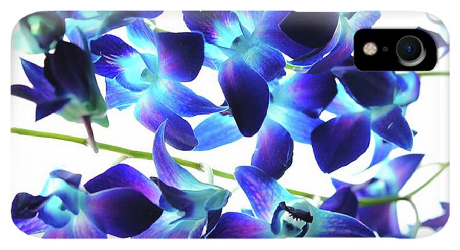 Purple Orchids - Phone Case