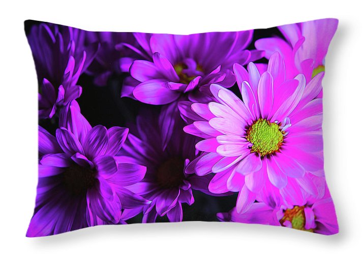 Purple Summer Daisies - Throw Pillow