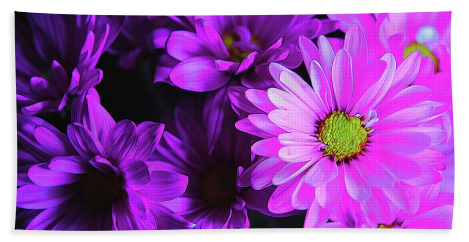 Purple Summer Daisies - Beach Towel