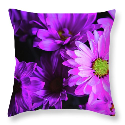 Purple Summer Daisies - Throw Pillow