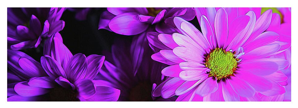 Purple Summer Daisies - Yoga Mat