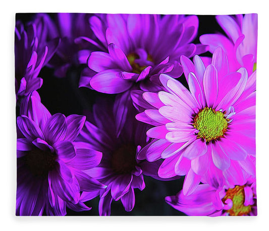 Purple Summer Daisies - Blanket