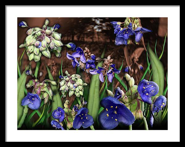 Purple Wildflowers - Framed Print