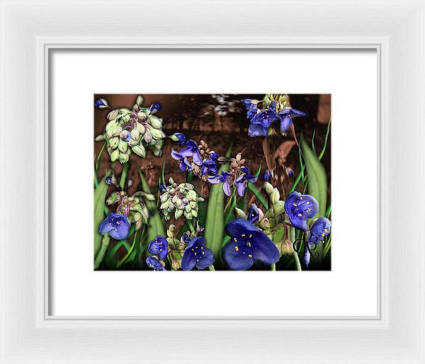 Purple Wildflowers - Framed Print