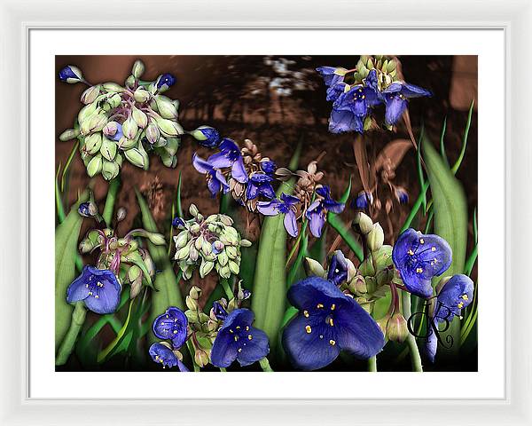 Purple Wildflowers - Framed Print