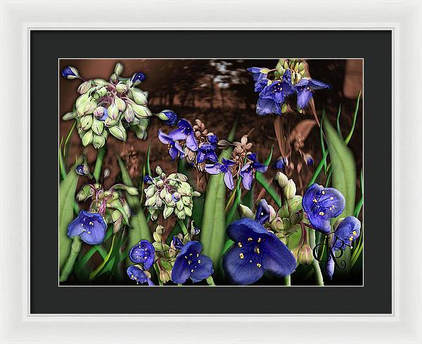 Purple Wildflowers - Framed Print