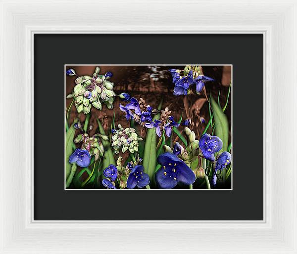 Purple Wildflowers - Framed Print