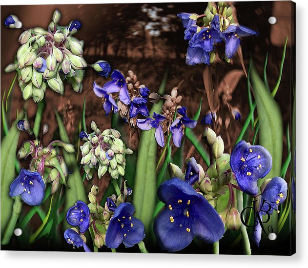 Purple Wildflowers - Acrylic Print
