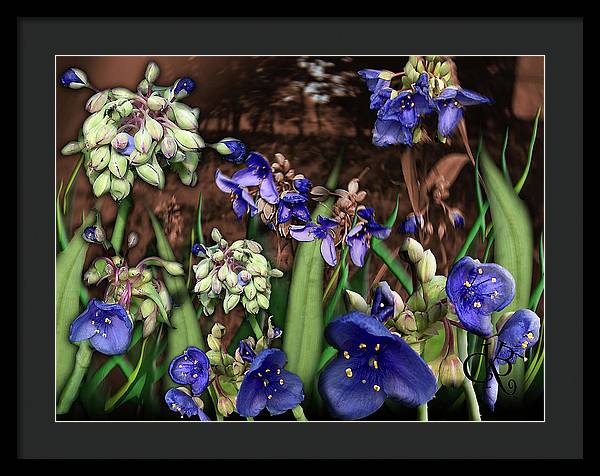 Purple Wildflowers - Framed Print