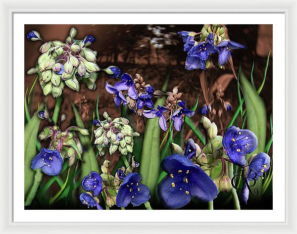 Purple Wildflowers - Framed Print