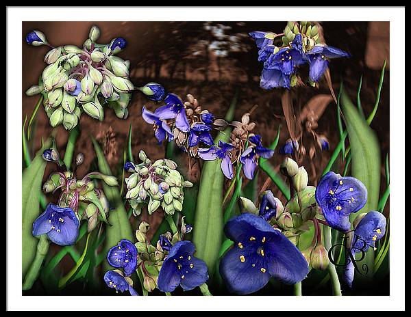 Purple Wildflowers - Framed Print