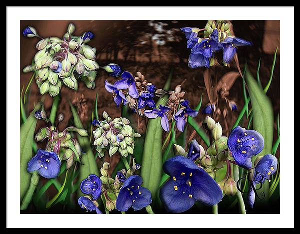 Purple Wildflowers - Framed Print