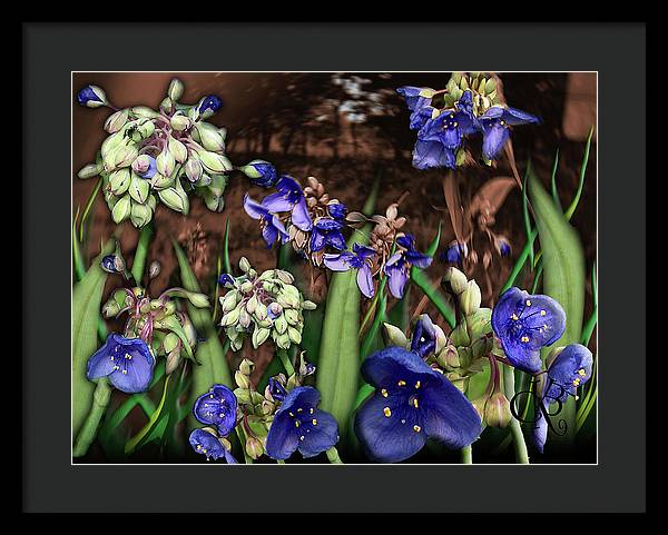 Purple Wildflowers - Framed Print