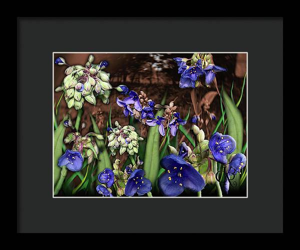 Purple Wildflowers - Framed Print