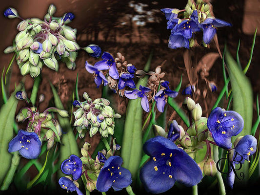 Purple Wildflowers - Art Print