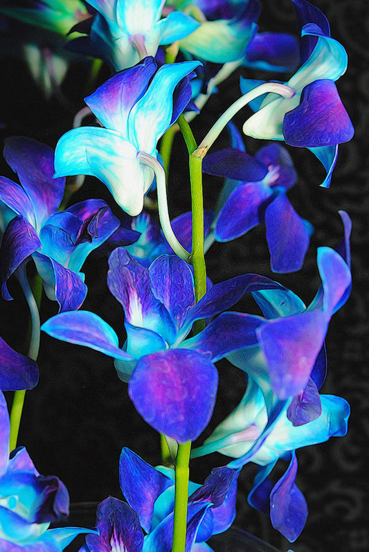 Purple Orchid Vines Digital Image Download
