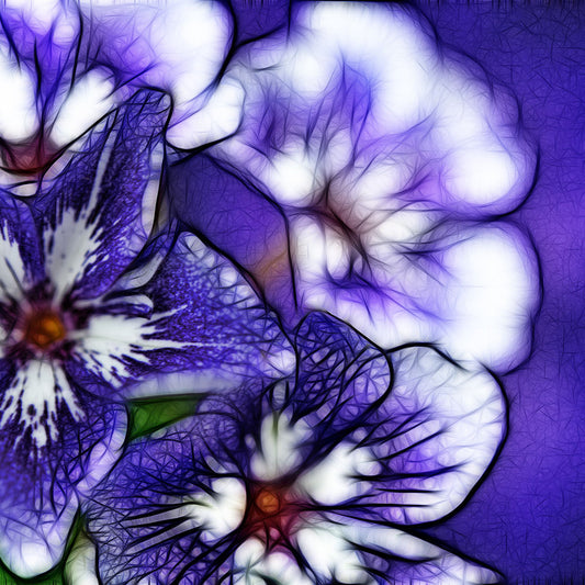 Purple and White Flowers Digital Image Download