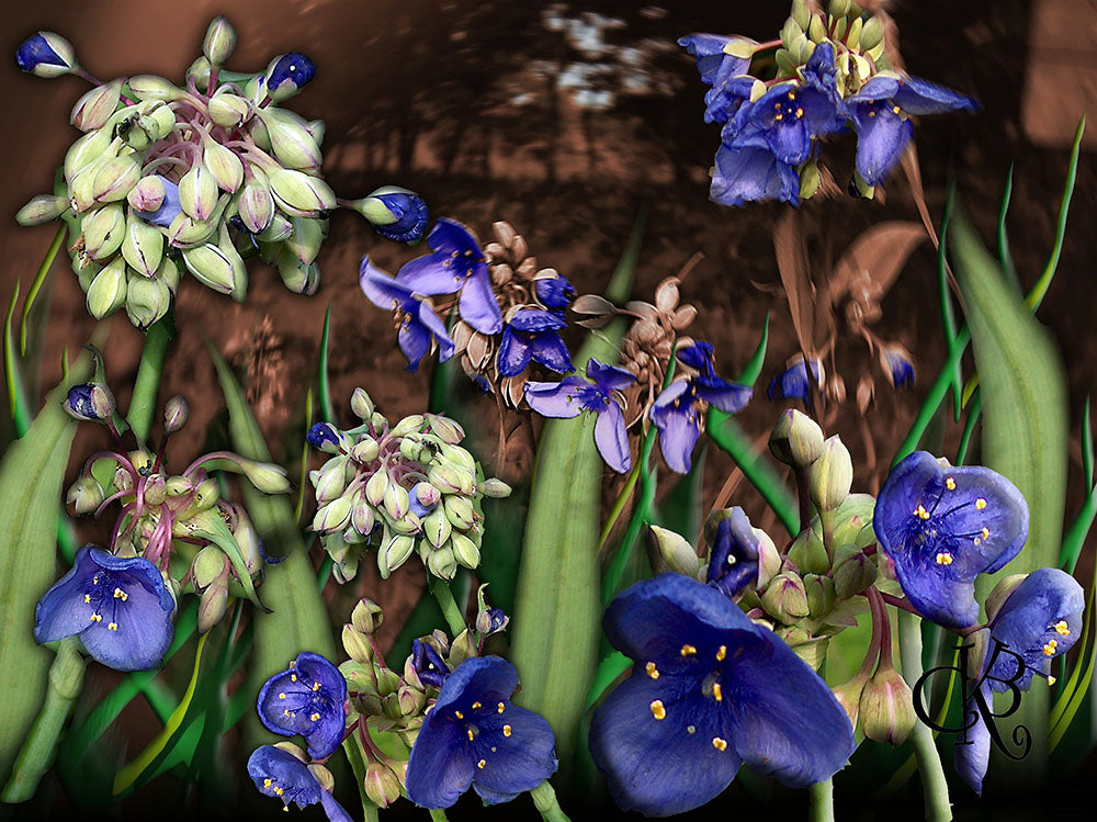 Purple Wildflowers Digital Image Download