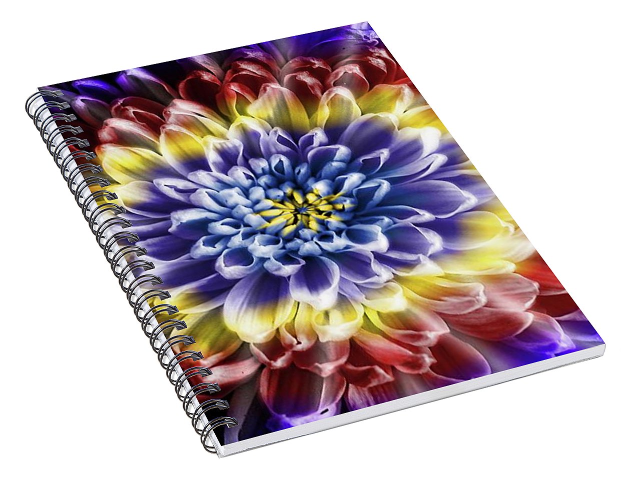 Rainbow Chrysanthemum - Spiral Notebook