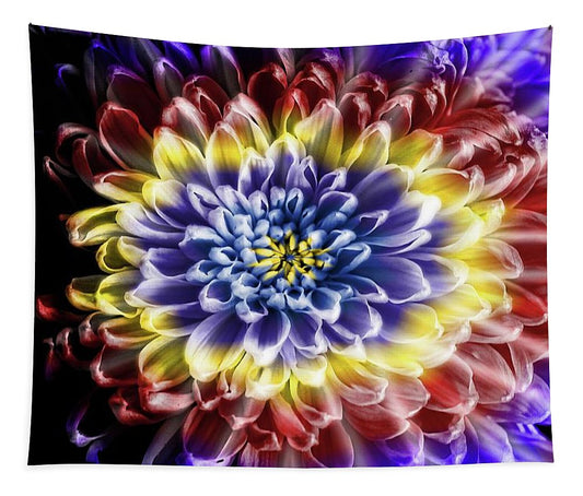 Rainbow Chrysanthemum - Tapestry