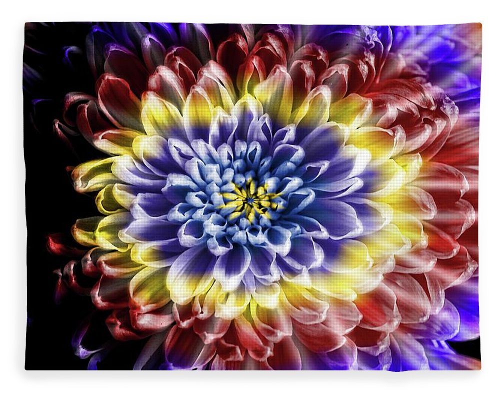 Rainbow Chrysanthemum - Blanket