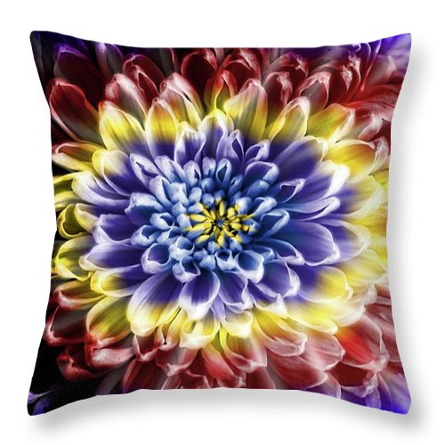 Rainbow Chrysanthemum - Throw Pillow