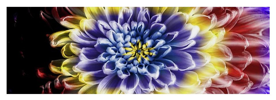 Rainbow Chrysanthemum - Yoga Mat