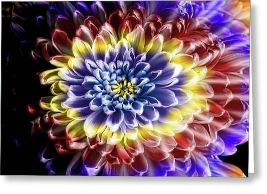 Rainbow Chrysanthemum - Greeting Card