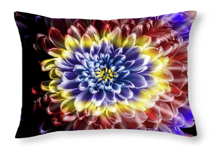 Rainbow Chrysanthemum - Throw Pillow