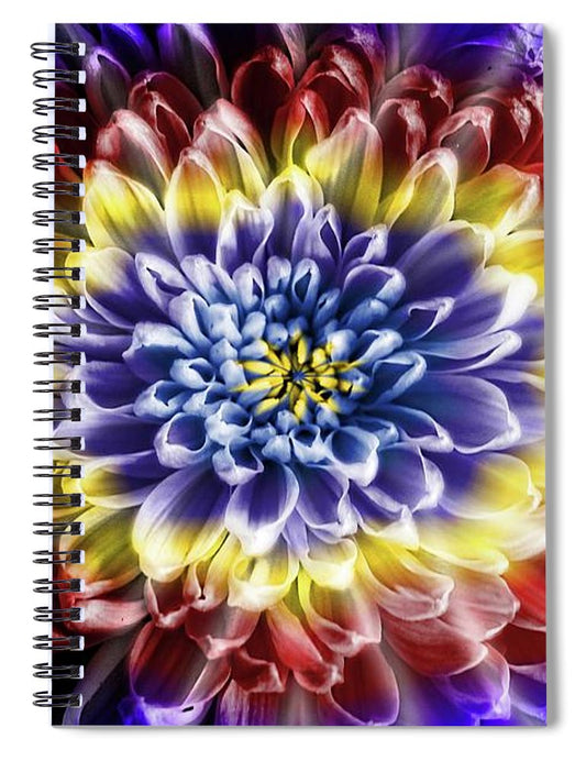 Rainbow Chrysanthemum - Spiral Notebook