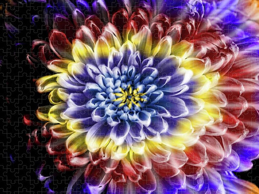 Rainbow Chrysanthemum - Puzzle