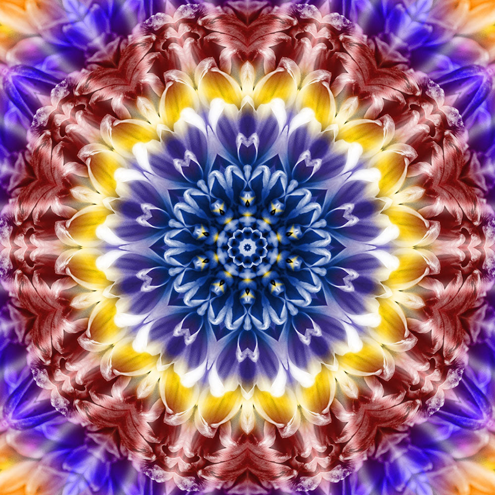 Rainbow Flower Kaleidoscope Digital Image Download