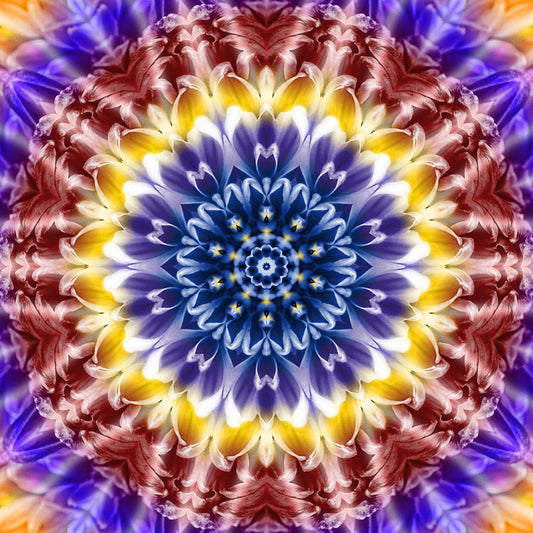 Rainbow Flower Kaleidoscope Digital Image Download