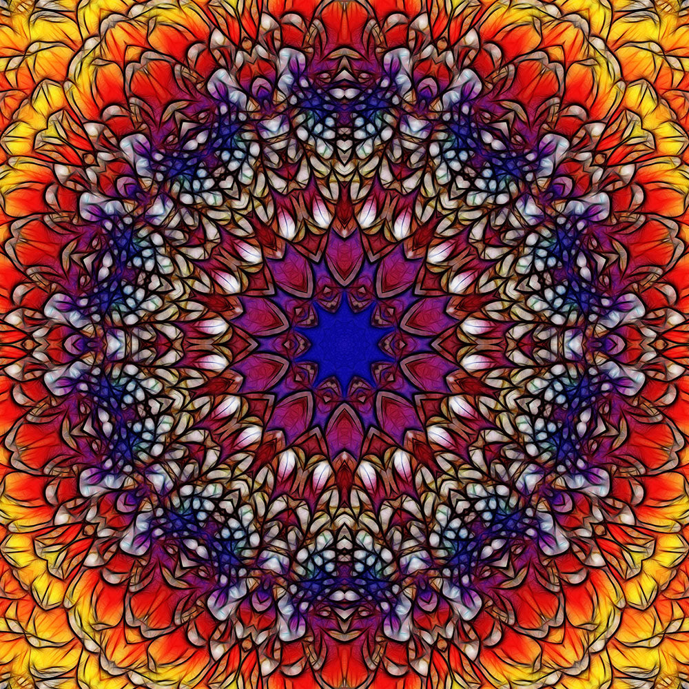 Rainbow Flower Petals Kaleidoscope Digital Image Download