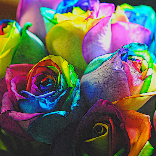 Rainbow Roses 20 Digital Image Download