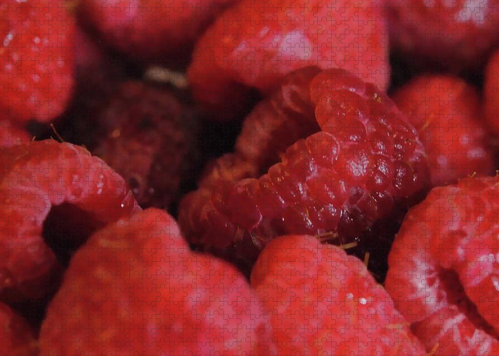 Raspberries - Puzzle