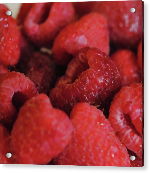 Raspberries - Acrylic Print