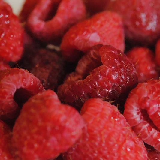 Raspberries Digital image Download