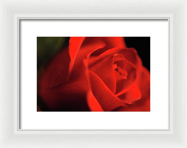Raw Flowers 12 - Framed Print