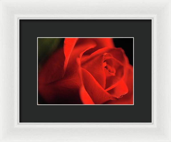 Raw Flowers 12 - Framed Print