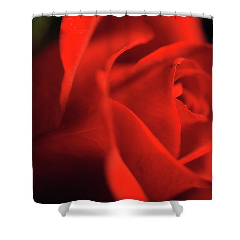 Raw Flowers 12 - Shower Curtain