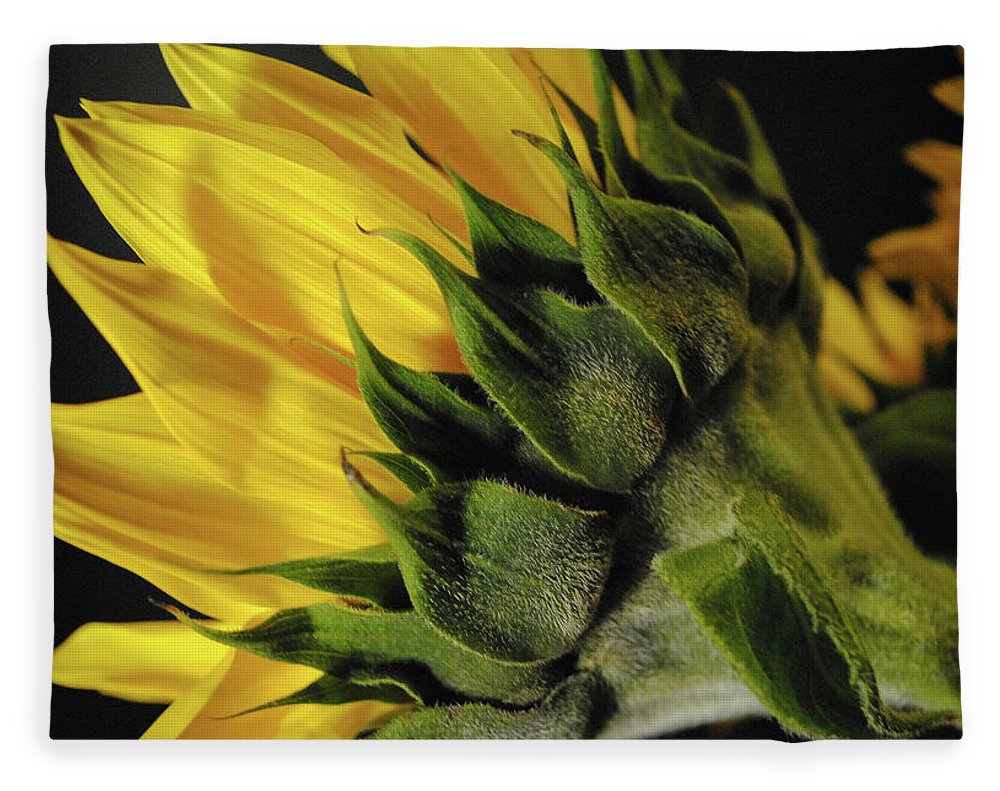Raw Flowers 14 - Blanket