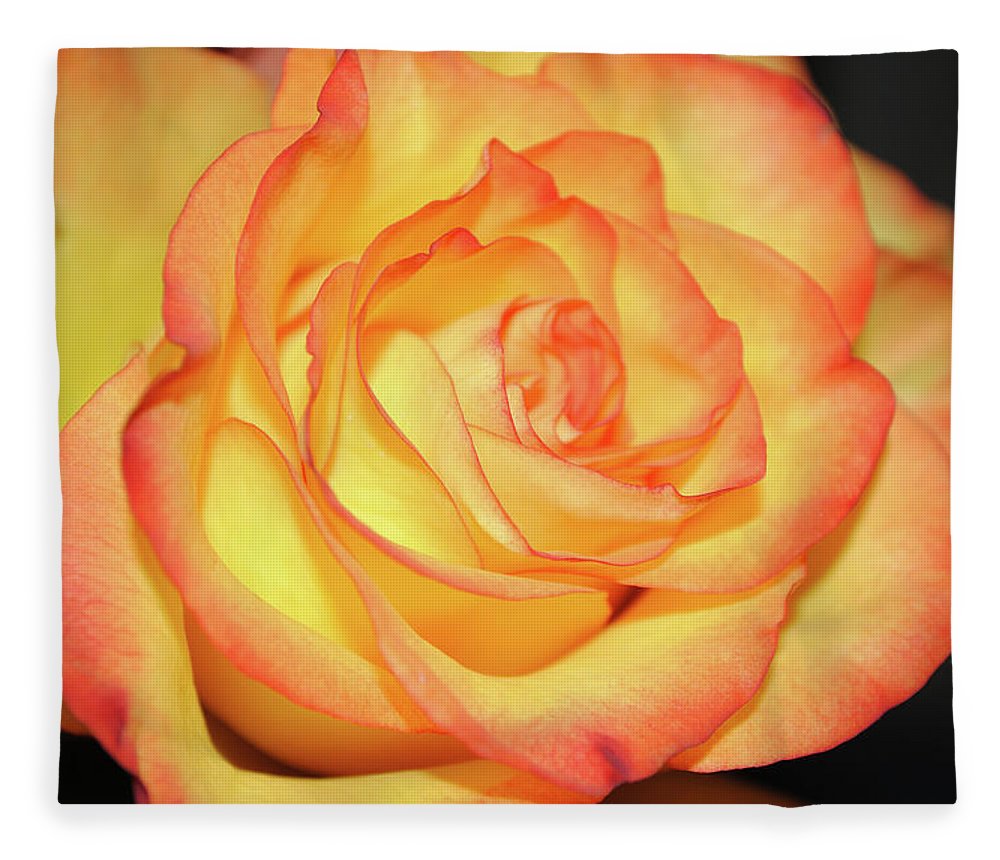 Raw Flowers 5 - Blanket