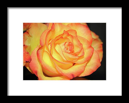 Raw Flowers 5 - Framed Print