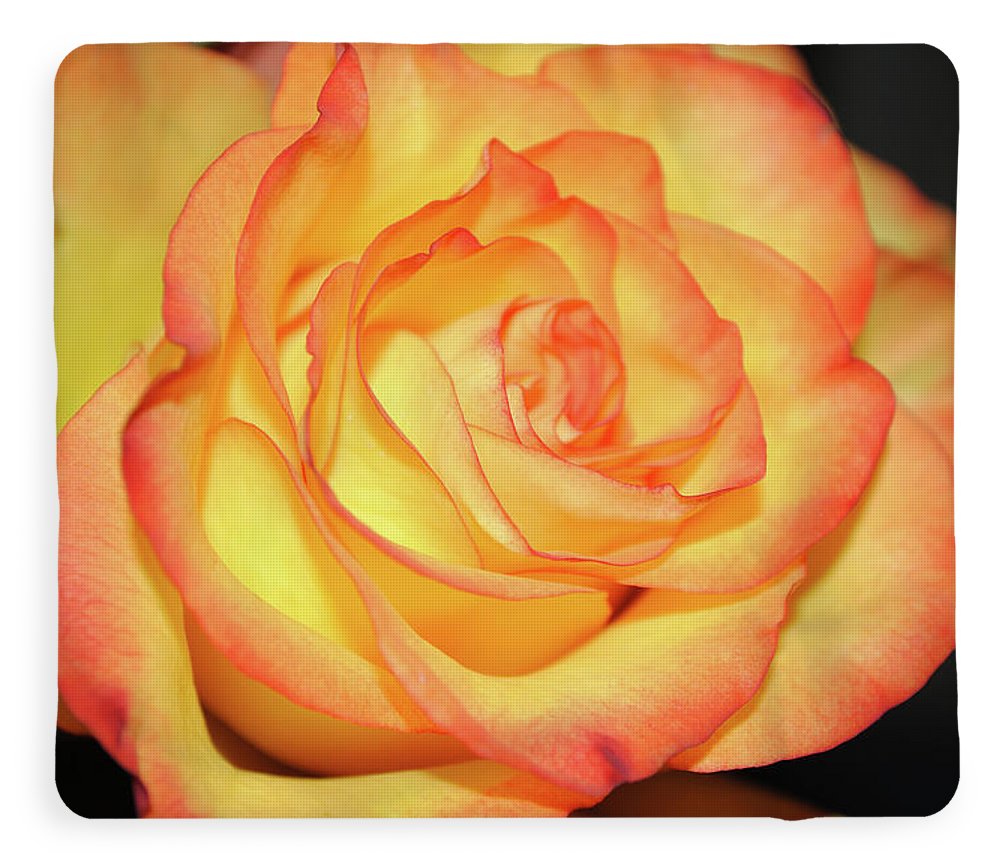 Raw Flowers 5 - Blanket