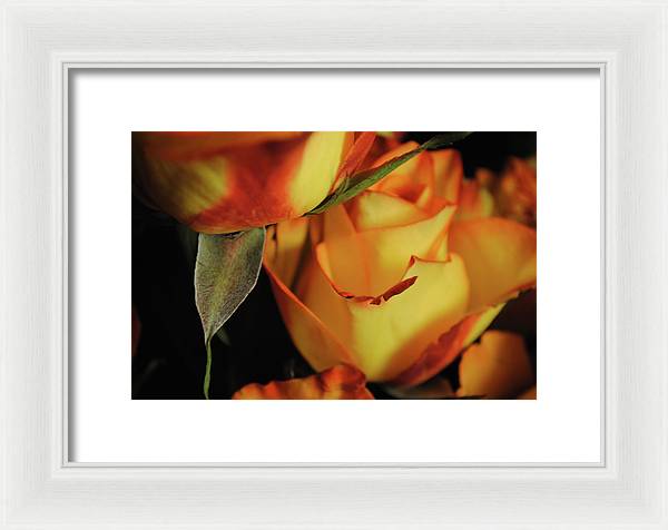 Raw Flowers 6 - Framed Print